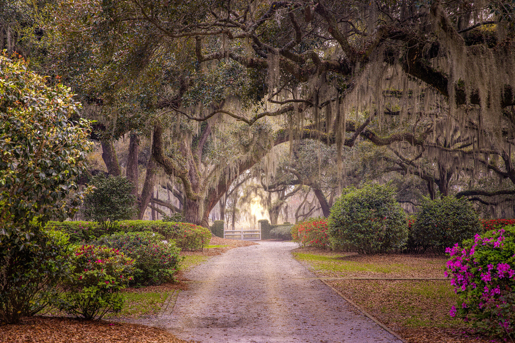 Grounds River Road